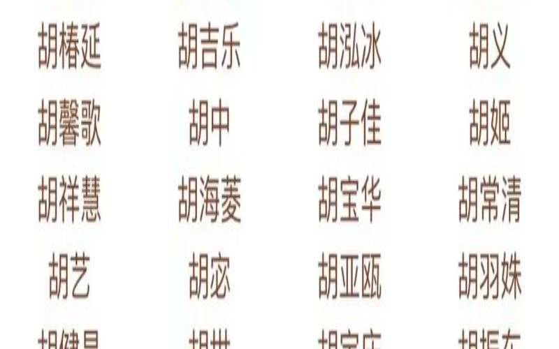 姓胡男孩取名字寓意好的字（姓胡的孩子取名男孩子）