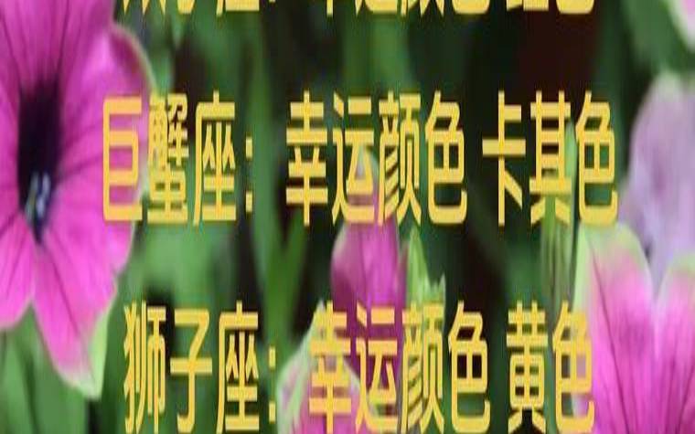 摩羯座今年运势查询男（白羊座今日运势）