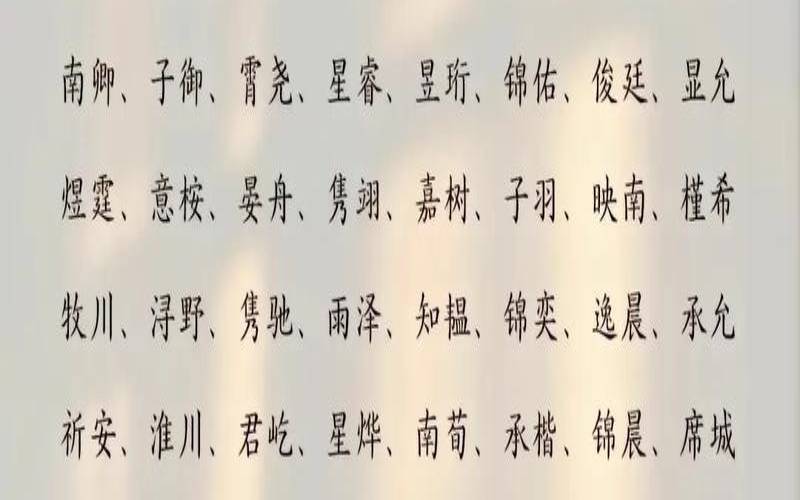 小雪出生的男宝宝名字（新生儿男孩名字库）