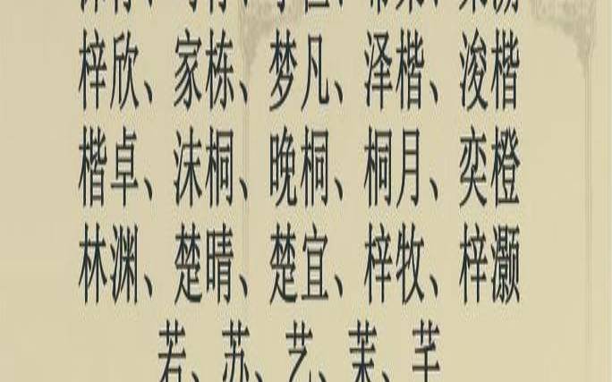 2023兔年男孩取什么名字好（宝宝取名免费起名大全）