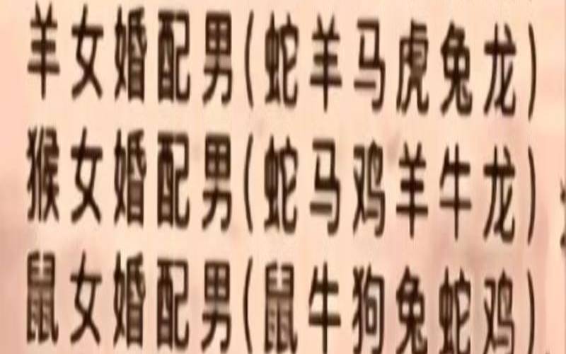 兔与龙婚配是否合适（蛇与兔的婚姻是否相配）