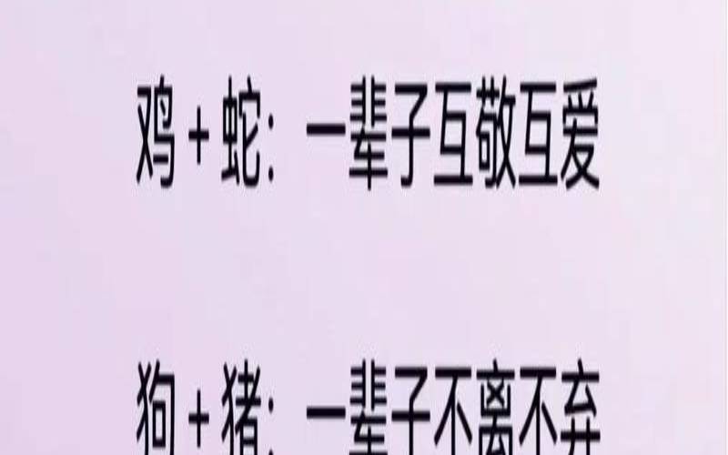 测试你的婚姻是什么结局（婚姻属相配对大全很准）