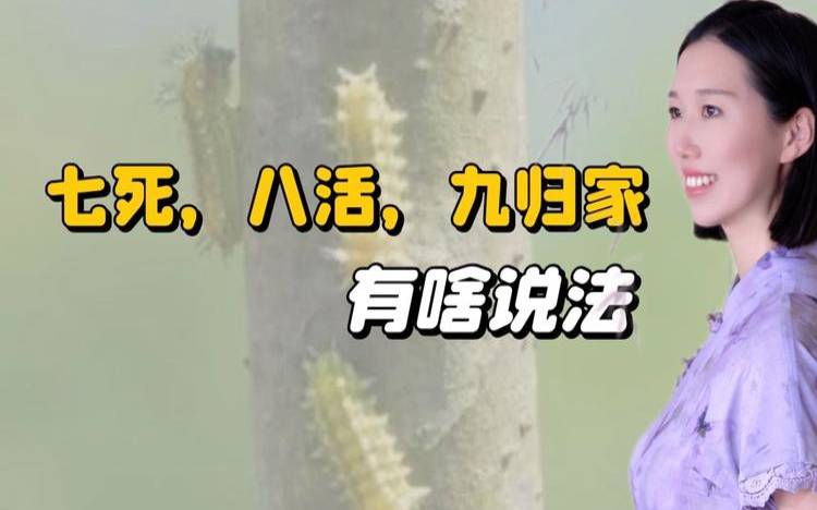 梦见家里老人死了好吗,老人要死有什么预兆