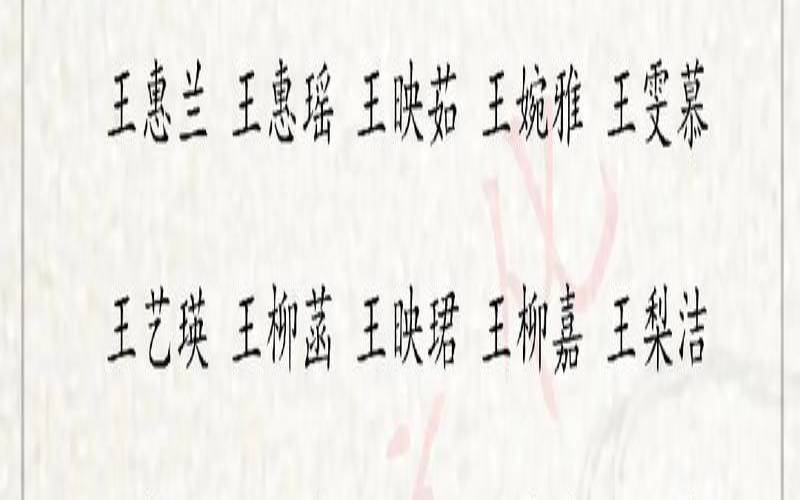 兔宝宝王姓男孩名字怎么取（王姓男宝宝名字大全）