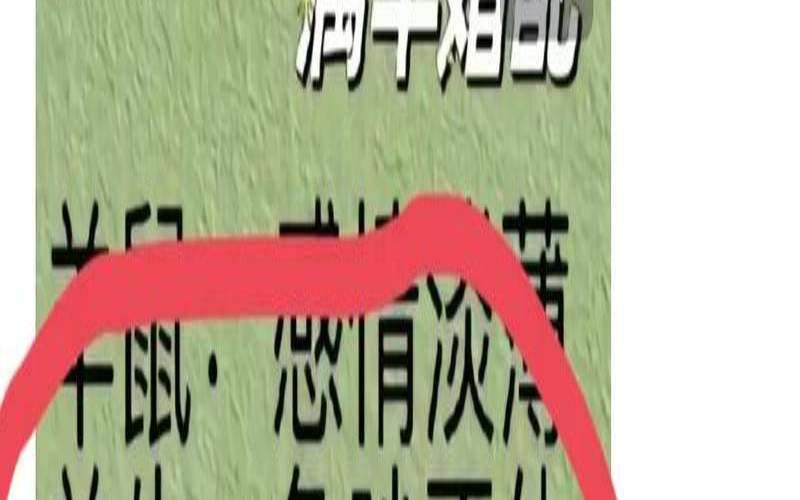 属羊和属猴的合不合婚姻（羊女2025苦尽甘来）