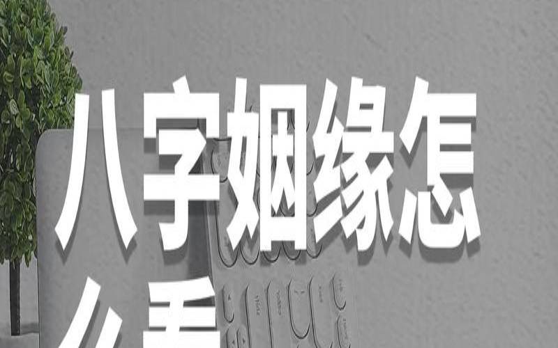 八字看婚姻感情状况（免费测婚姻的软件）