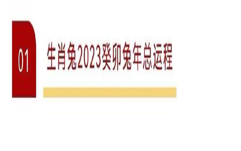 2023年生肖兔运势解析（属兔今日运势最准）