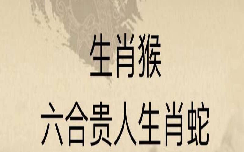 生肖兔和生肖猪配不配（兔子和猪是几合）