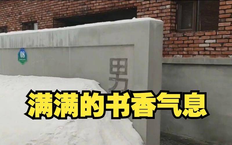 女人梦见大粪坑里满满大粪,梦见农村茅厕屎满了