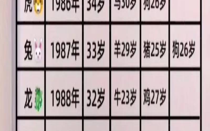 2021年11月属猪的运势（十猪九富和十猪九苦）