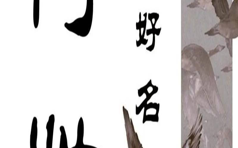柯姓女孩名字大全（柯姓好听女孩子的名字）