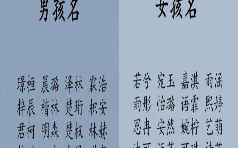 生辰八字起名网免费取名（免费测名字软件）
