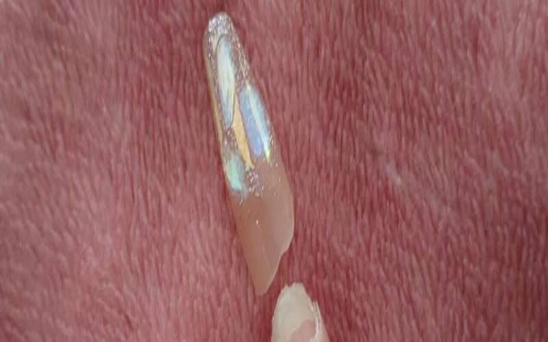 梦见指甲油掉了,女人梦见指甲油是吉兆 梦见指甲油掉了,女人梦见指甲油是吉兆