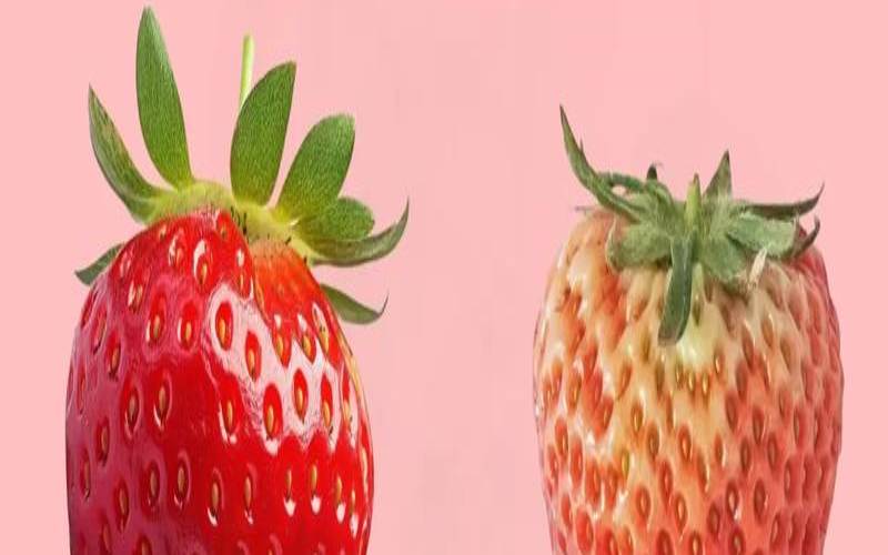 梦见草莓,梦见草莓是什么预兆 梦见草莓,梦见草莓是什么预兆