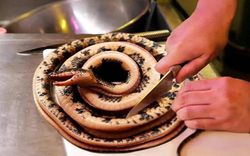 女人梦见蛇吃人的预兆,2025年蛇年梦见蛇吃人