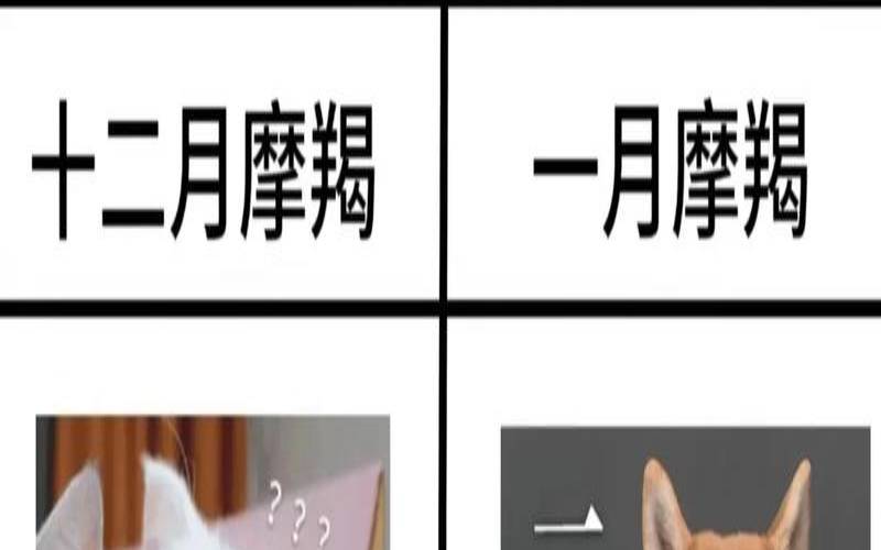 摩羯座与十二星座的共同点（摩羯座与十二星座关系表）