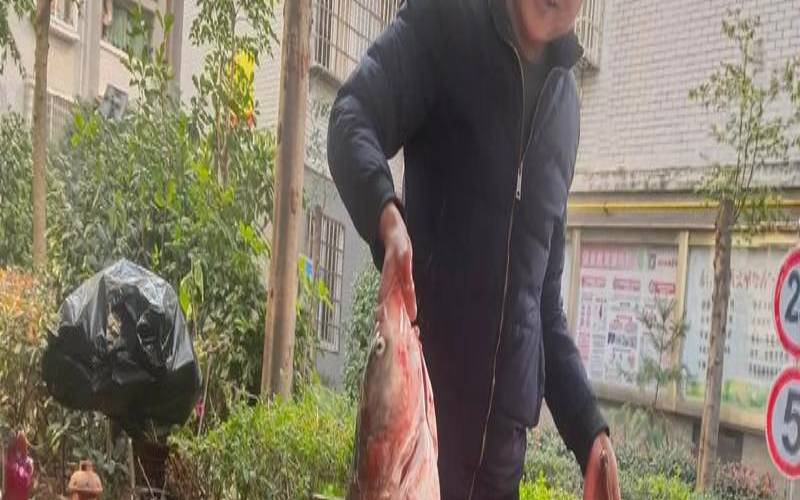 女人梦到自己被鱼咬了一口,梦见大鱼咬人要发财 女人梦到自己被鱼咬了一口,梦见大鱼咬人要发财