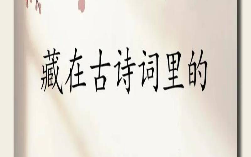 姓夏女孩名字优雅大气（新生儿姓名女孩）