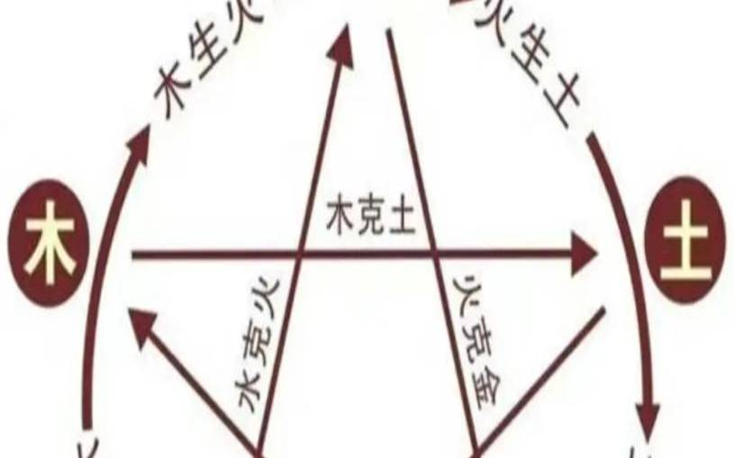 五行属土的人的特征（五行没有土的人性格）