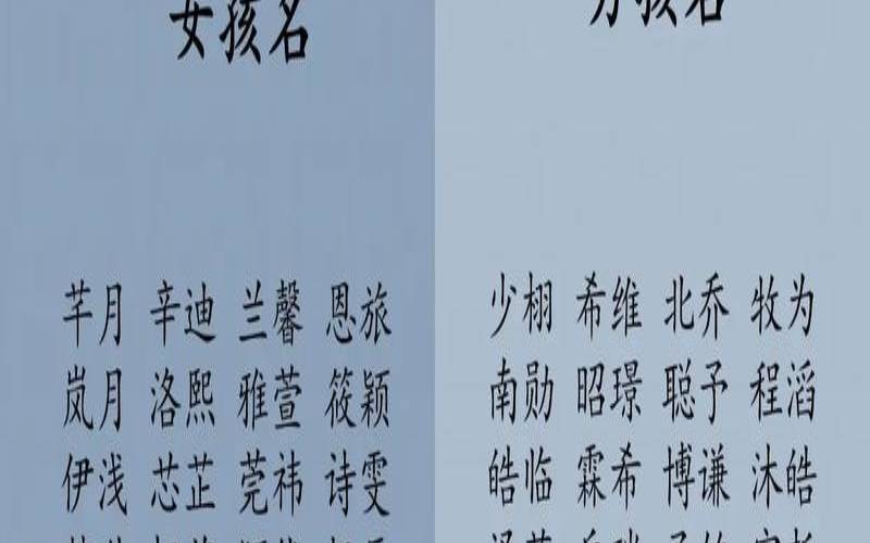 辰字取名男孩名字的意思（孩子取名辰与晨的区别）