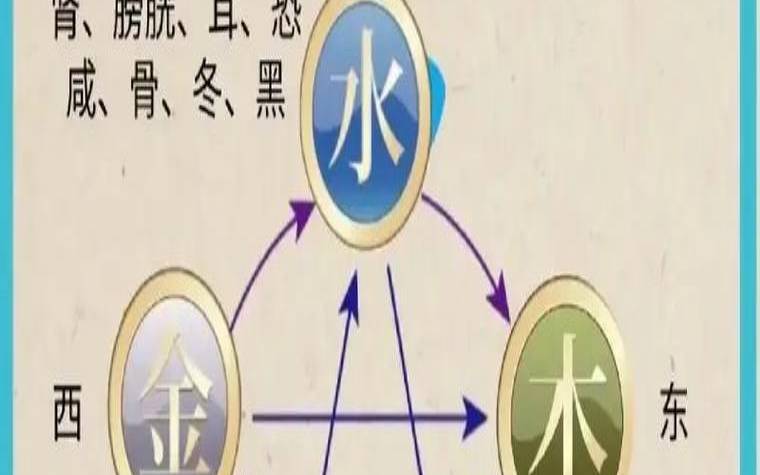 五行属水的人有什么特点（五行水多的人什么性格）