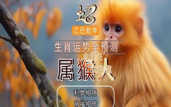 2021.9.30生肖运势（生肖属猴今日运势）