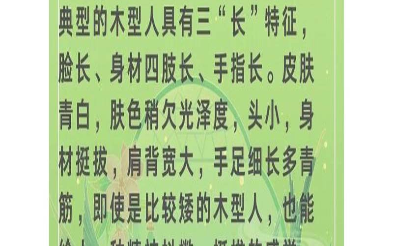 木型人格特质（木型人适合什么型人）