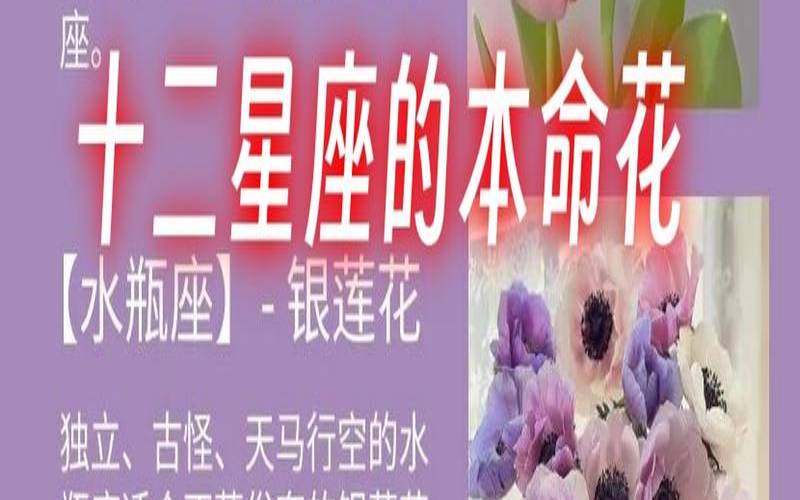 2021年6月天秤座星座运势（水瓶座一月份运势）