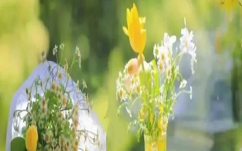 梦见庭院树木茂盛（女人梦见院子）