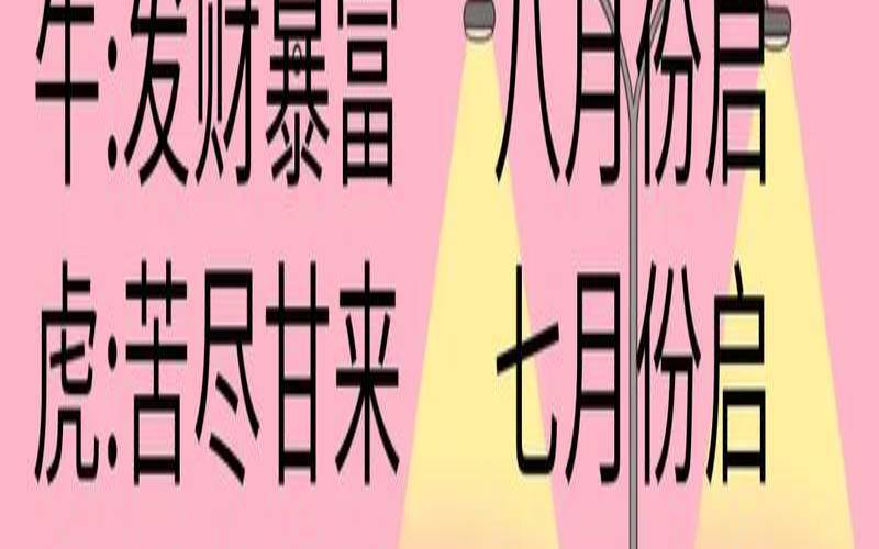 2023年2月属什么生肖（十二生肖今日运势查询）