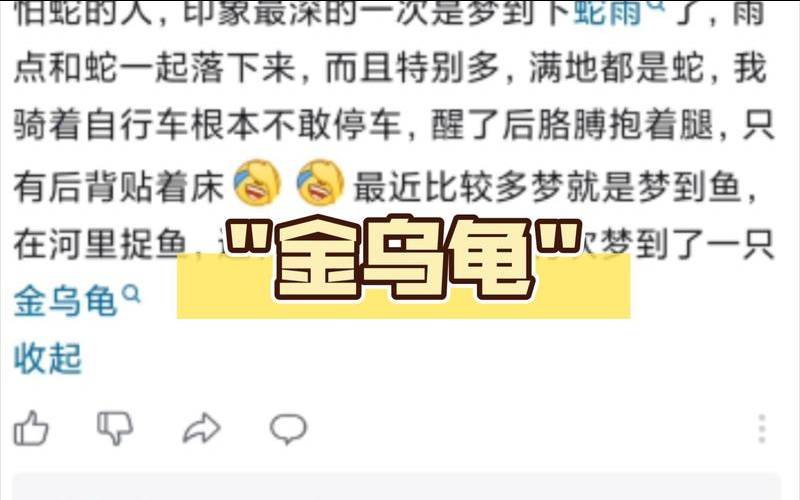 梦见自己手里拿着乌龟（梦见乌龟在手上）
