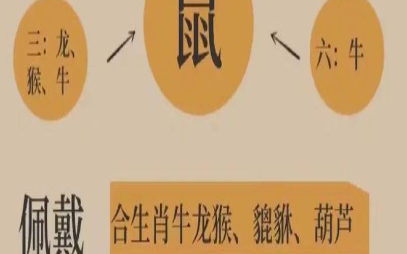 生肖龙男与生肖鼠女合适吗（老鼠生肖和什么生肖合）