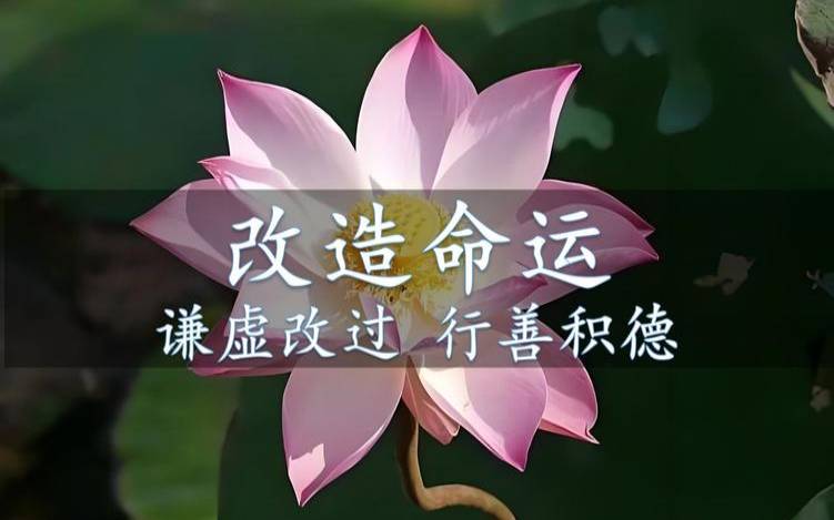什么八字是尼姑命（测八字算命看命运）