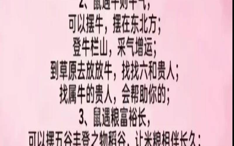 属虎和属猪的合不合（虎跟狗生肖合不合）