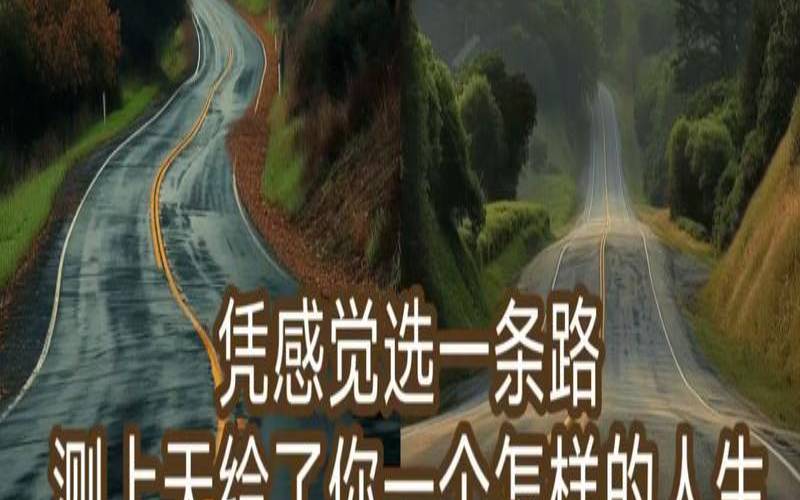 测试你的生活（测你的人生以后是怎样的）