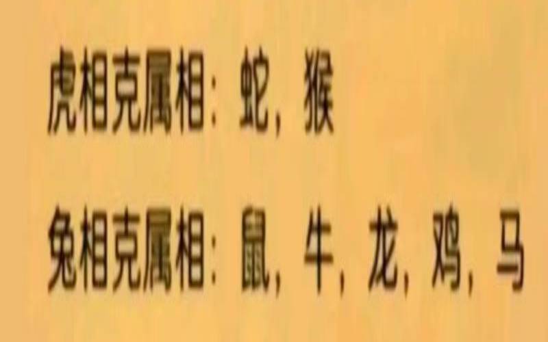 狗肖与什么生肖最搭配（属狗和属蛇的相冲吗）