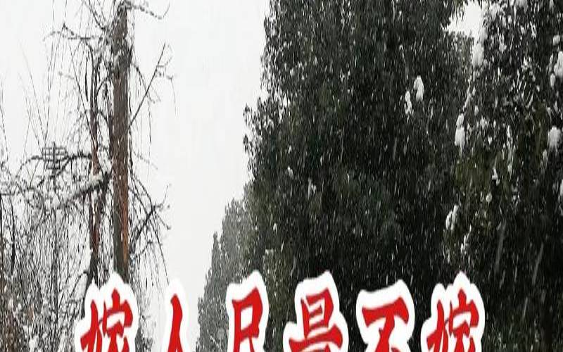 测我俩会结婚吗（免费测个人婚姻不付费软件）