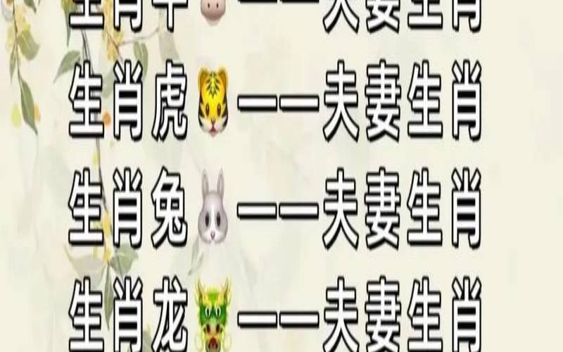 属鼠双鱼座2022年运势详解（摩羯座属什么生肖最好）