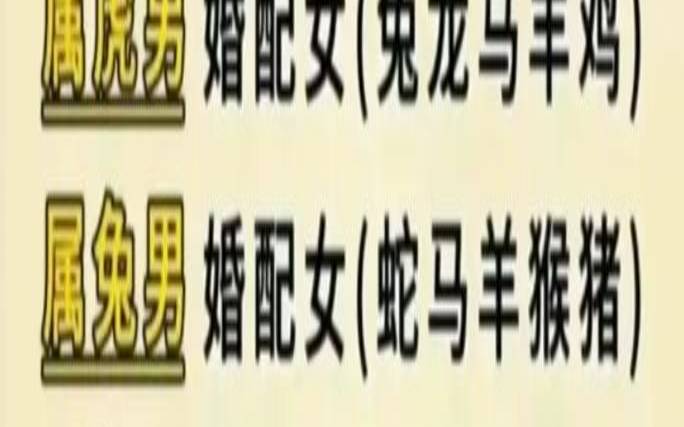 女牛男鸡婚配怎么样（女牛男鸡的婚姻和财运）