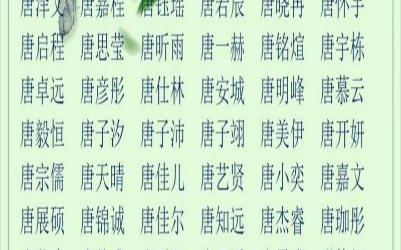 姓归的男孩名字（新生儿姓名女孩）