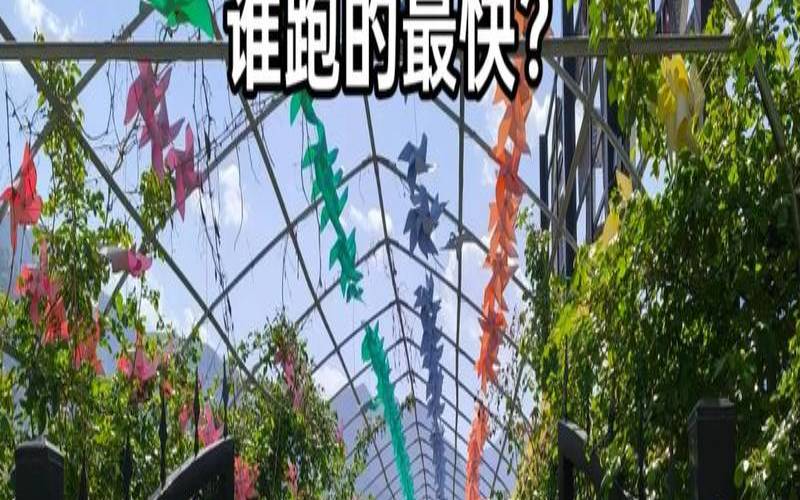十二生肖跑马图（十二生肖跑最快的动物）