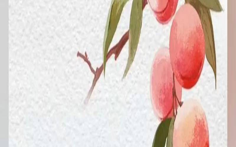 如何提高朋友圈人气（怎样才能人气旺）
