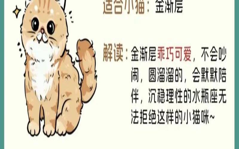猫石对话之周运9.26-10.2（星运猫星座运势）