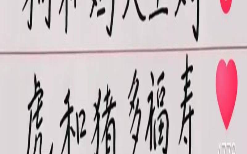 男属兔和女属狗相配吗（属兔和属狗做情人能长久吗）