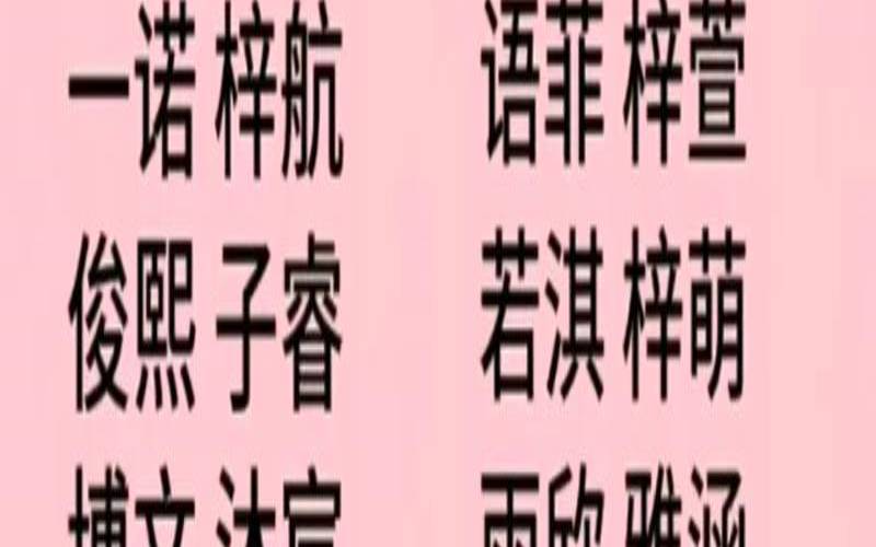 寓意好的名字男孩名（2025蛇最旺男孩名字）