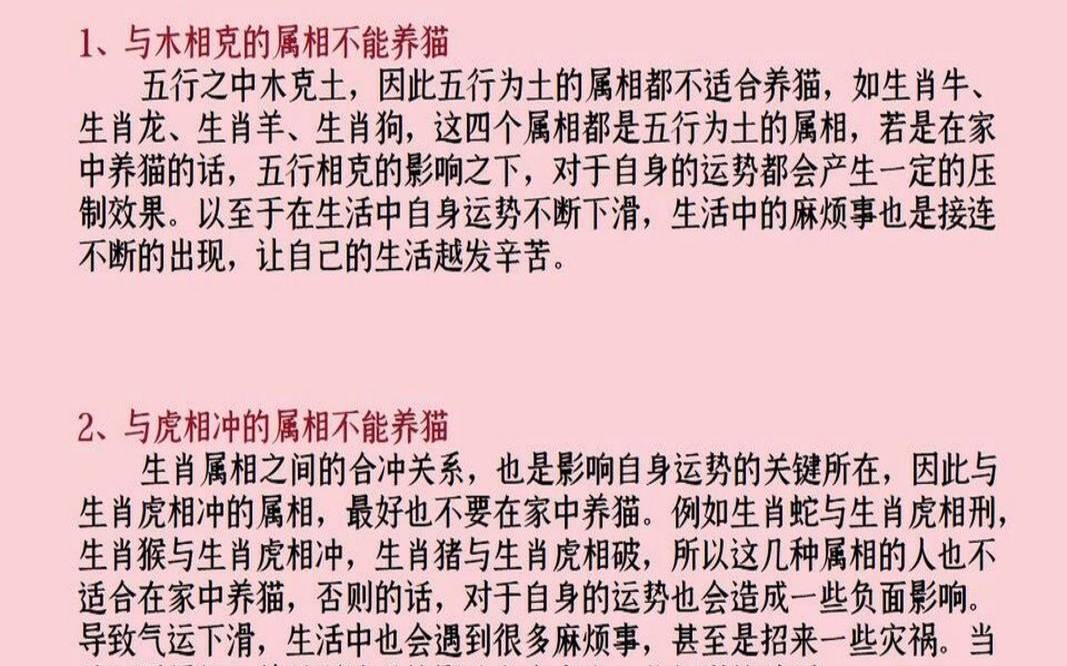 家里养猫对财运好不好2（为什么属牛不能养猫）