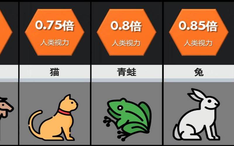 测你与哪种动物最相像呢（长相相似度测试）