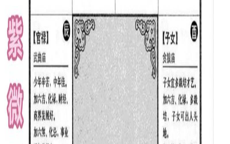 紫微星运势2021（紫微免费算一生运势图）