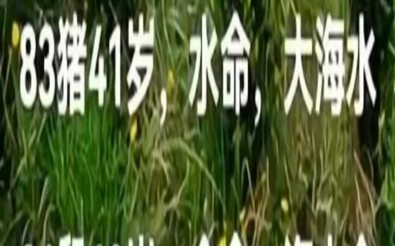 石榴木命什么颜色旺财（石榴木不能和什么在一起）