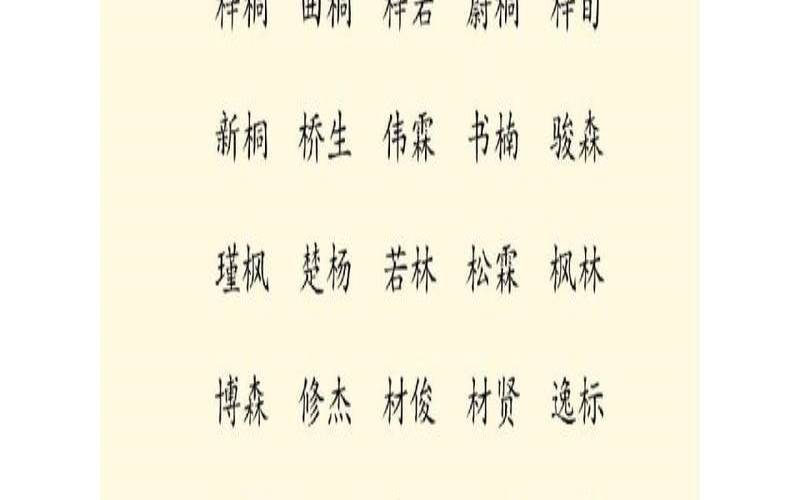 2020年大雪出生的男孩名字（缺火缺木有寓意的名字）